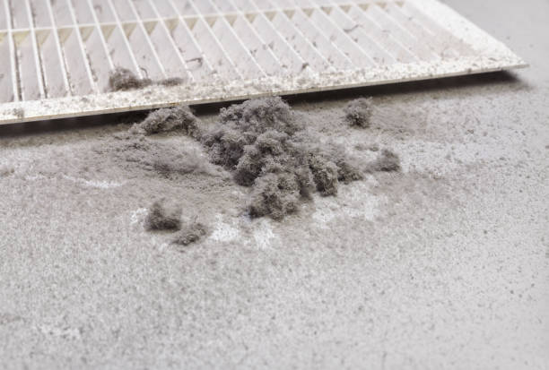 Best Affordable HVAC Duct Cleaning  in Chubbuck, ID